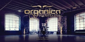 vulnerabile-top-web